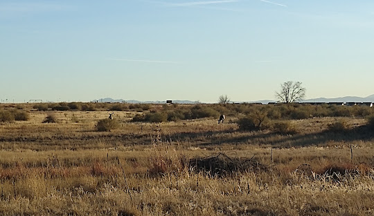 Towing Company - Adams County, CO